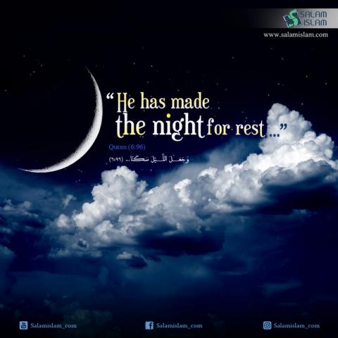 The Night for Rest