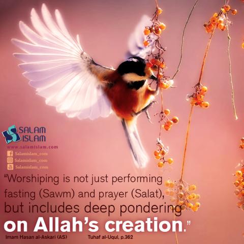 Ponder on Allah's Creation