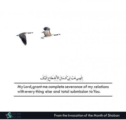 From the invocation of the month of Shaban submission to Allah