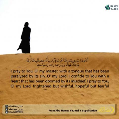 From Abu Hamza Thumali's Supplication I Pray to You
