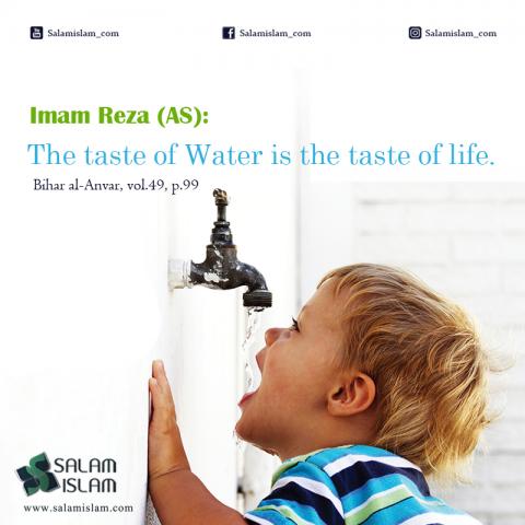 World Water Day Water Is Life