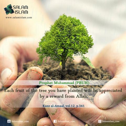 International Day of Forests Planting Trees