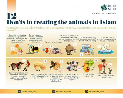 12 Don'ts in Treating the Animals in Islam