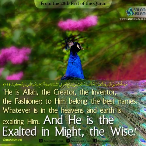 From the 28th Part of the Quran The Creator