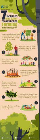 7 Reasons Why Islam Recommends Farming and Planting Trees