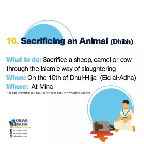 Hajj Rituals in Brief Sacrificing an Animal