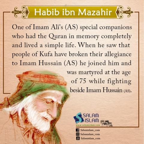 Companions of Imam Hussain (AS) Habib ibn Mazahir | Salamislam